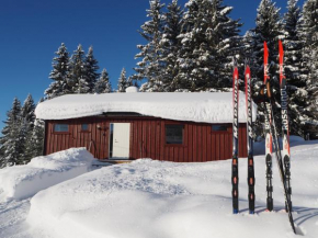 Cabin with great view close to town and ski area